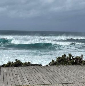 Meet your Posher, Peter